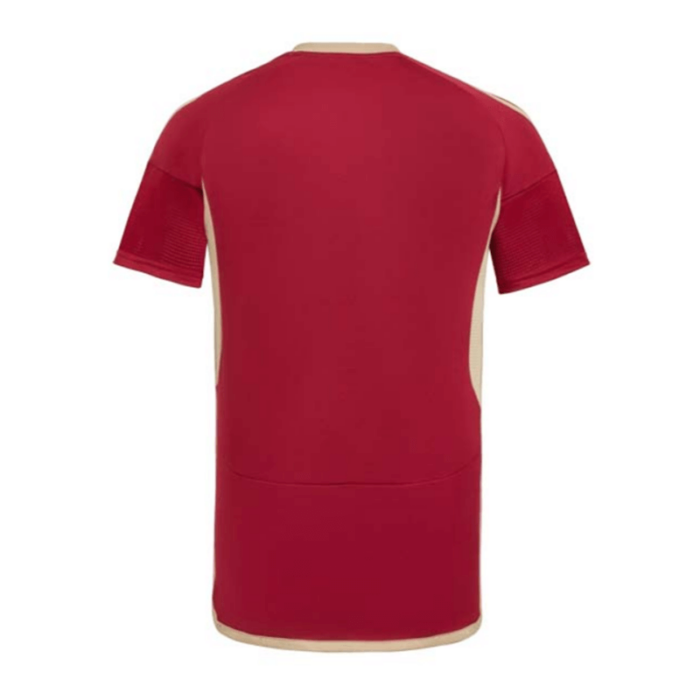 Venezuela 2024 Copa America Home Shirt - 图片 2