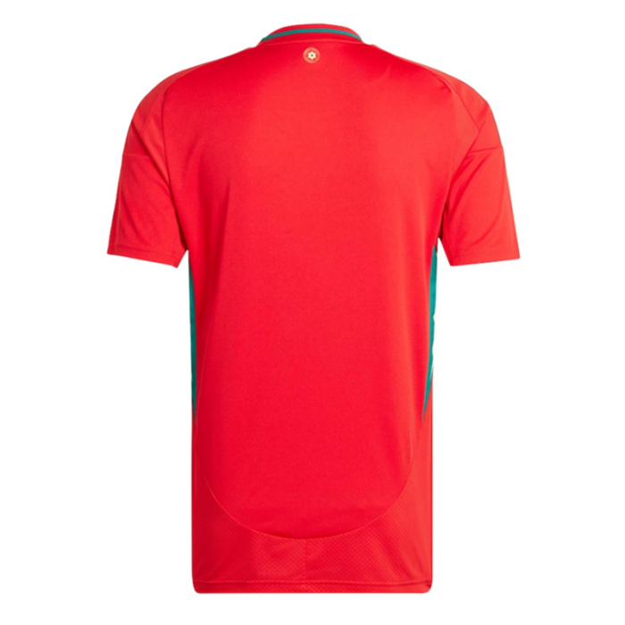 Wales 2024 Euro Cup Home Shirt - 图片 2