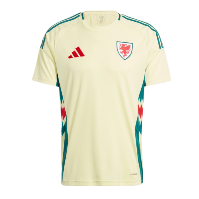 Wales 2024 Euro Cup Away Shirt