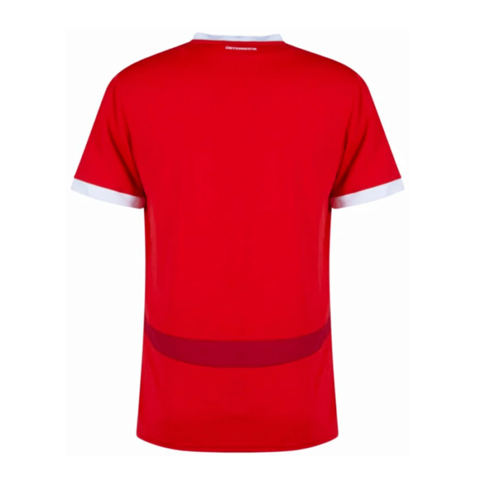 Austria 2024 Home Shirt - 图片 2
